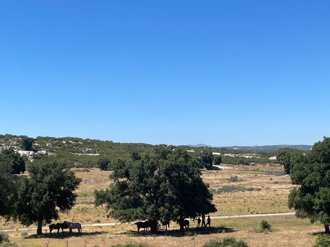 día de rancho