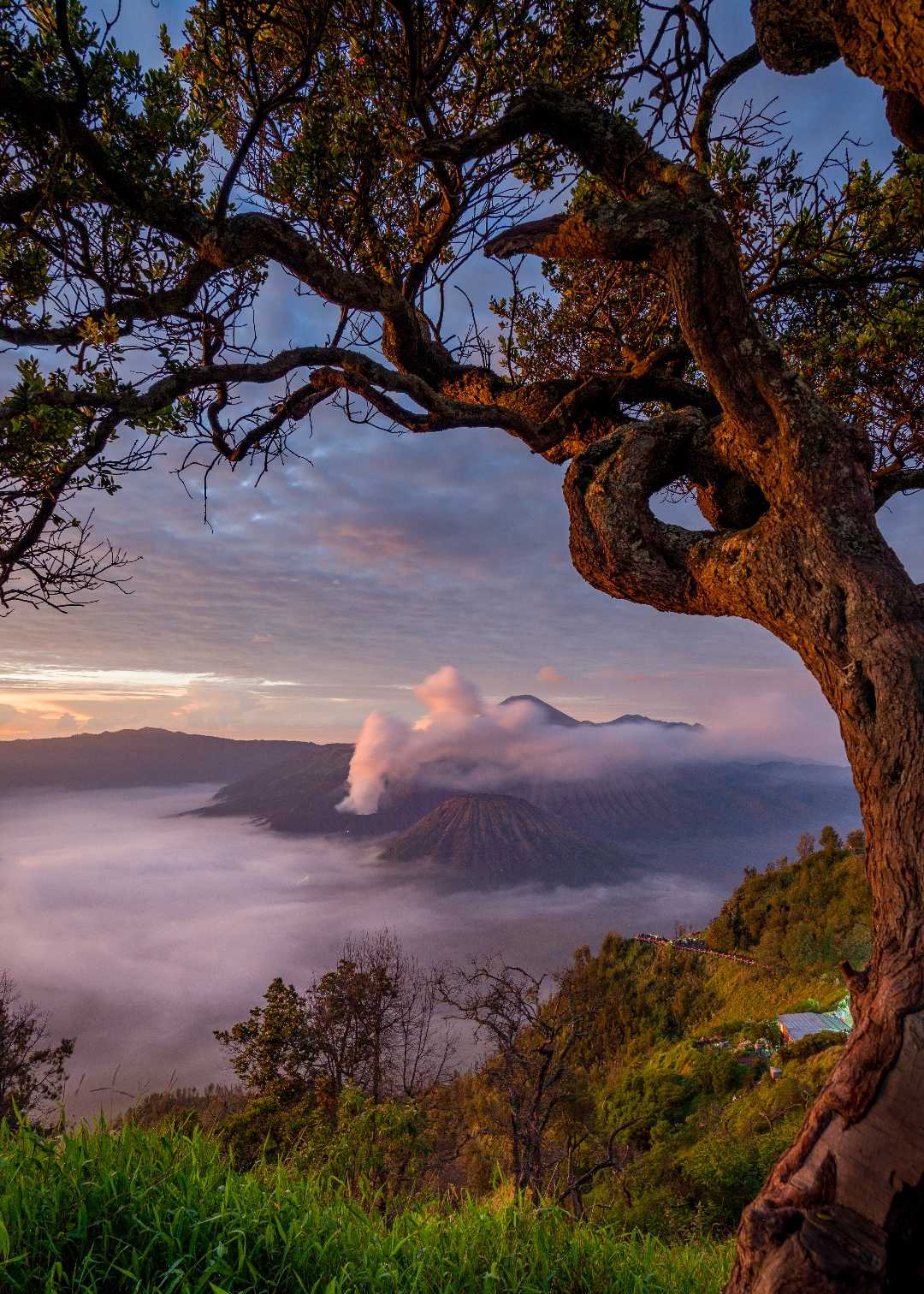 Bukit Perahu Bromo