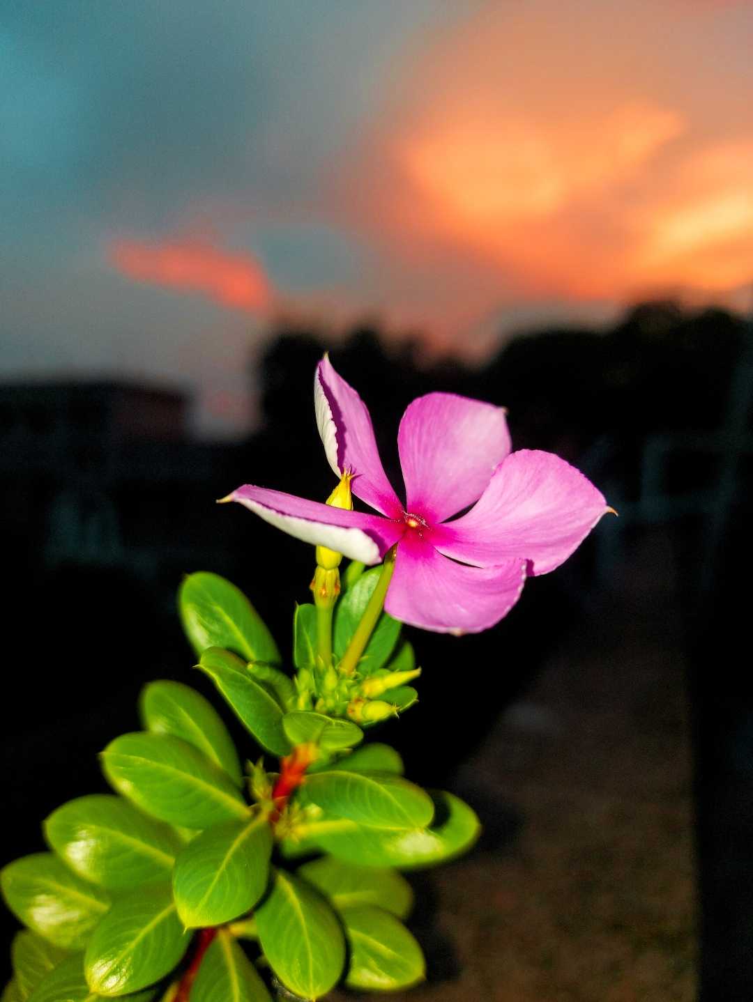 colours of nature 