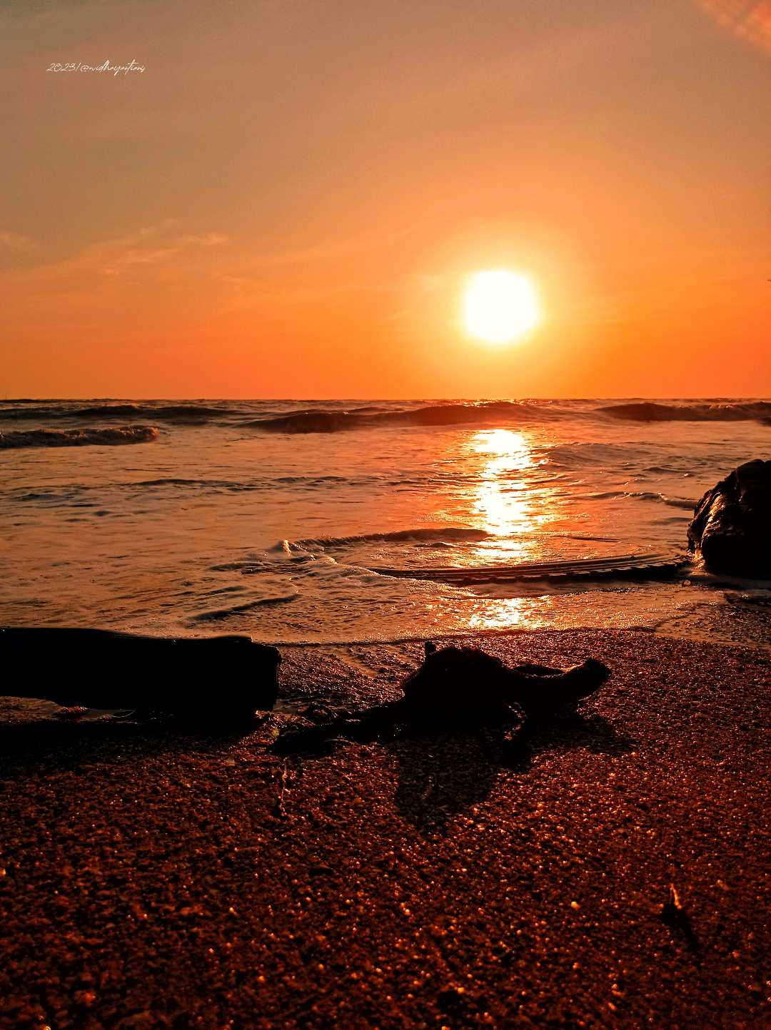 pantai cemara