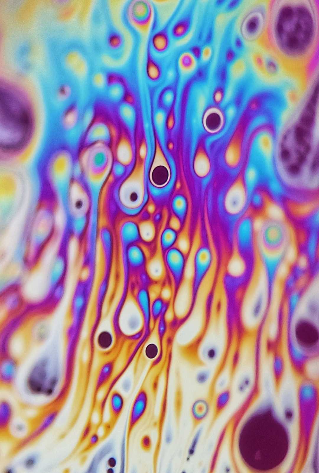 Bubble World✨