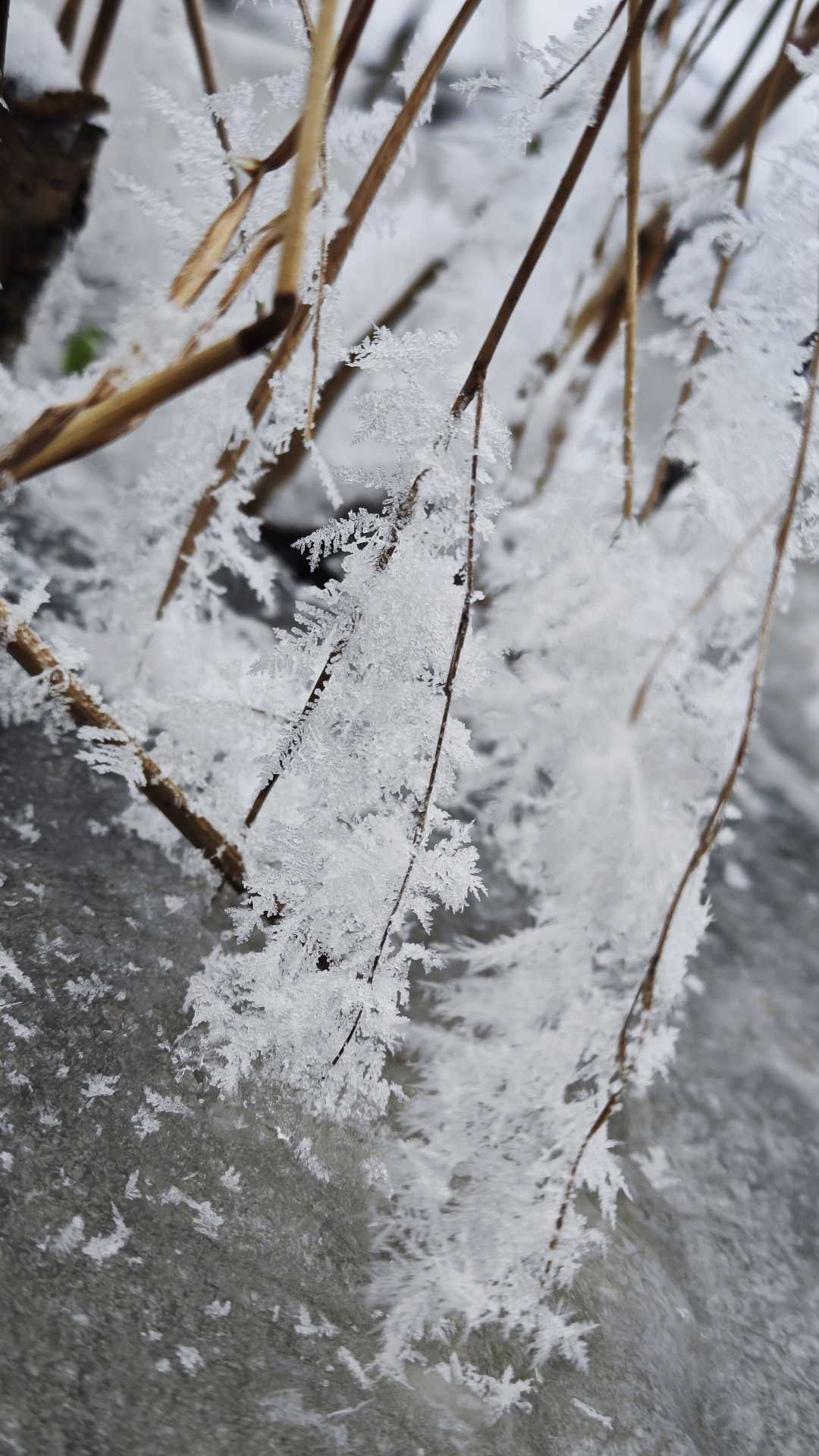 Still frozen time ❄️
