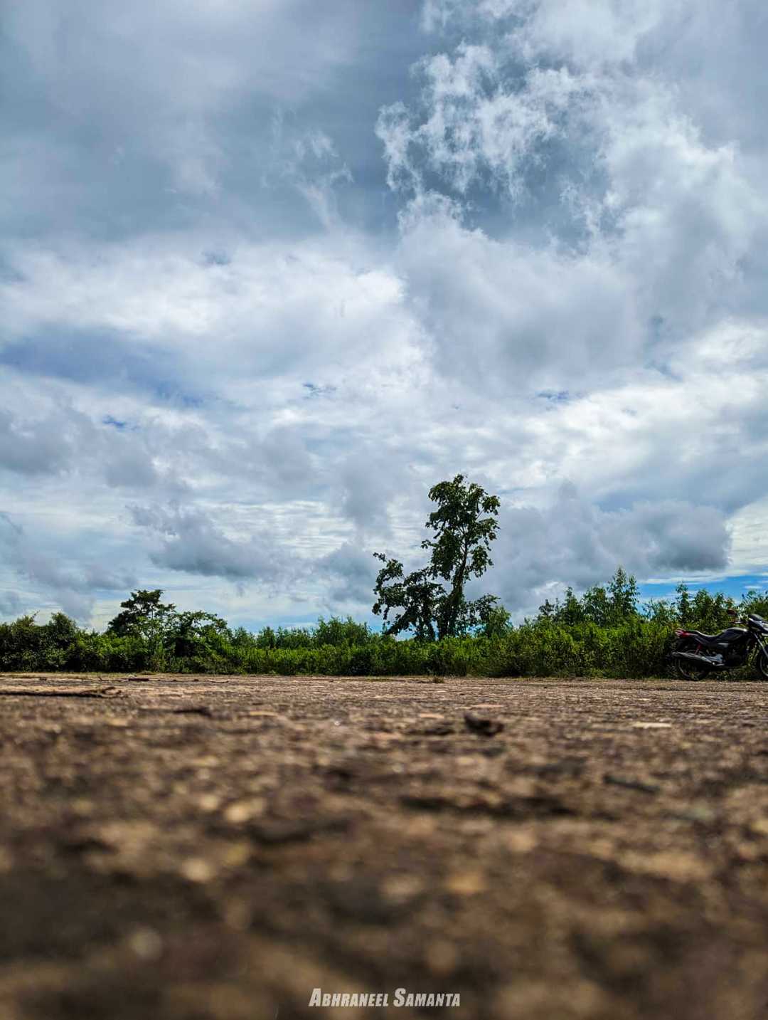 ELEMENTS OF NATURE