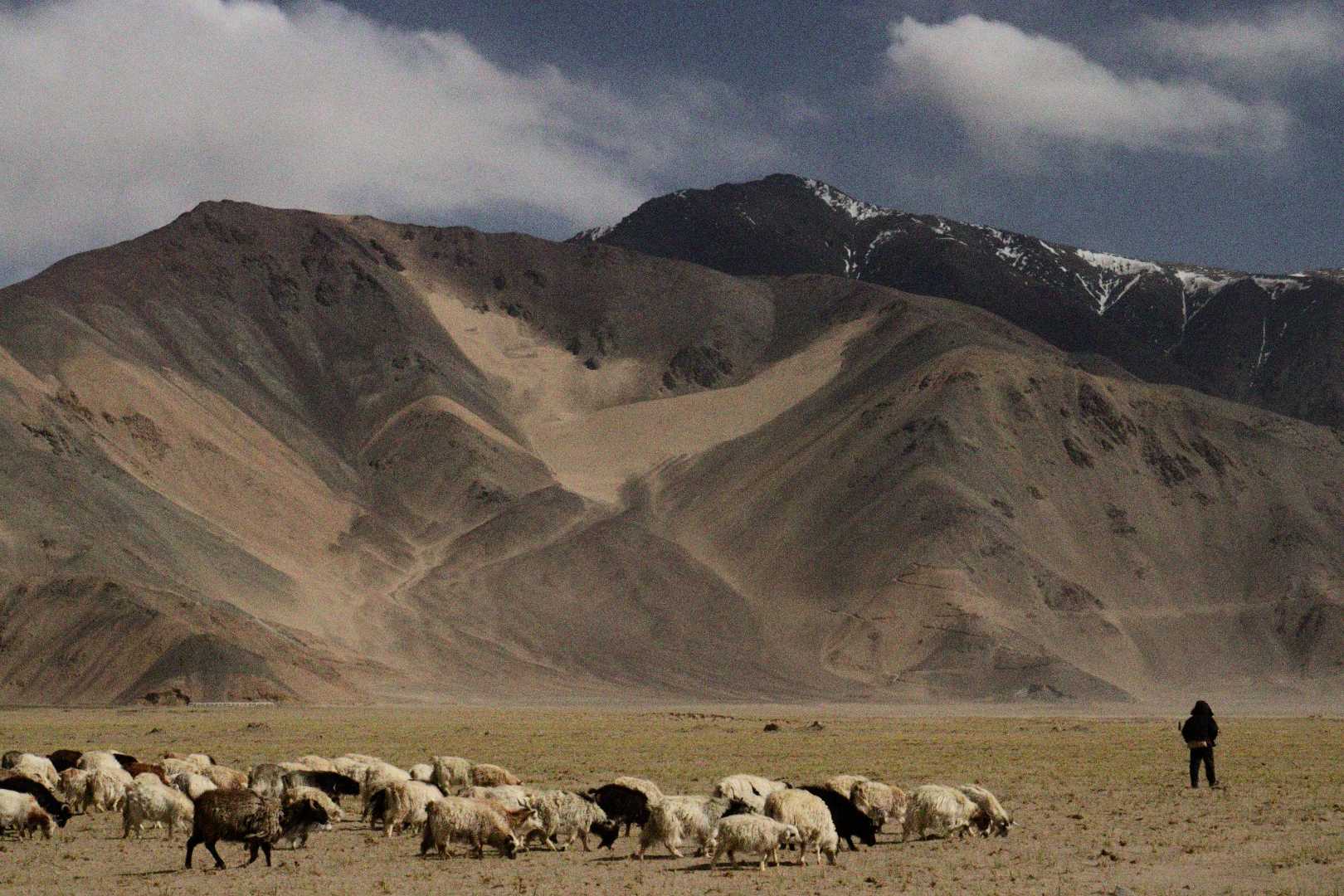 Changthang
