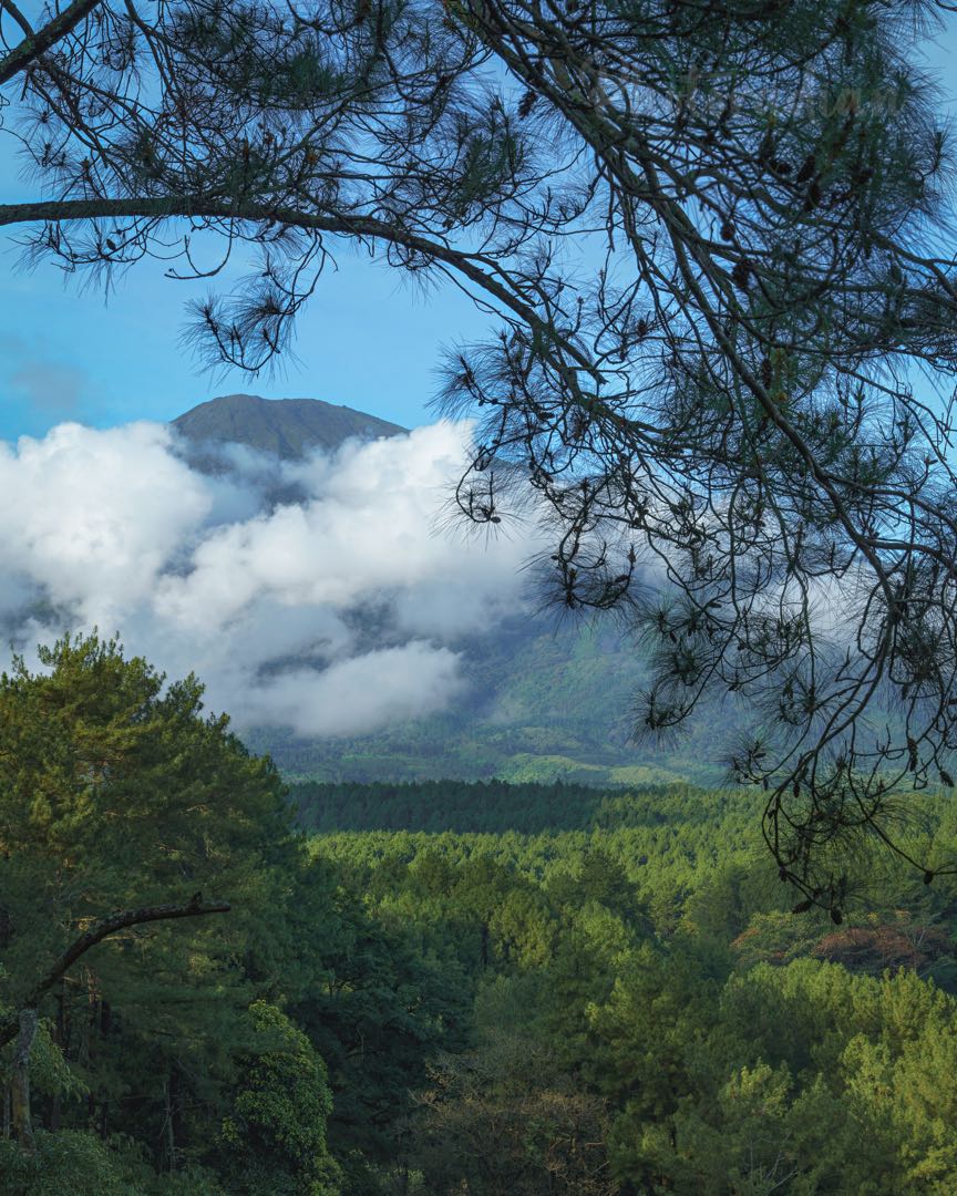 Trijaya Camping Ground