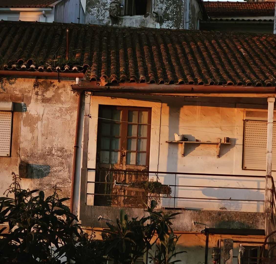 #architecture #culture 