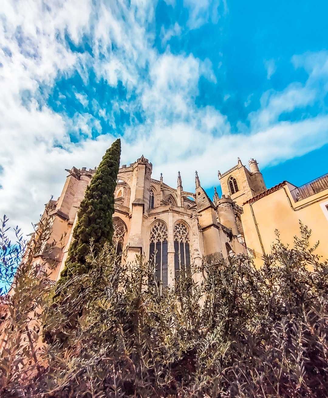 Cathedrale Saint Just et Saint Pasteur