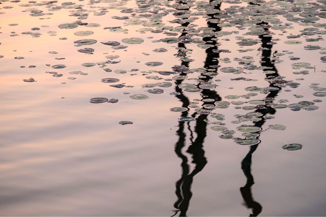 Reflection 