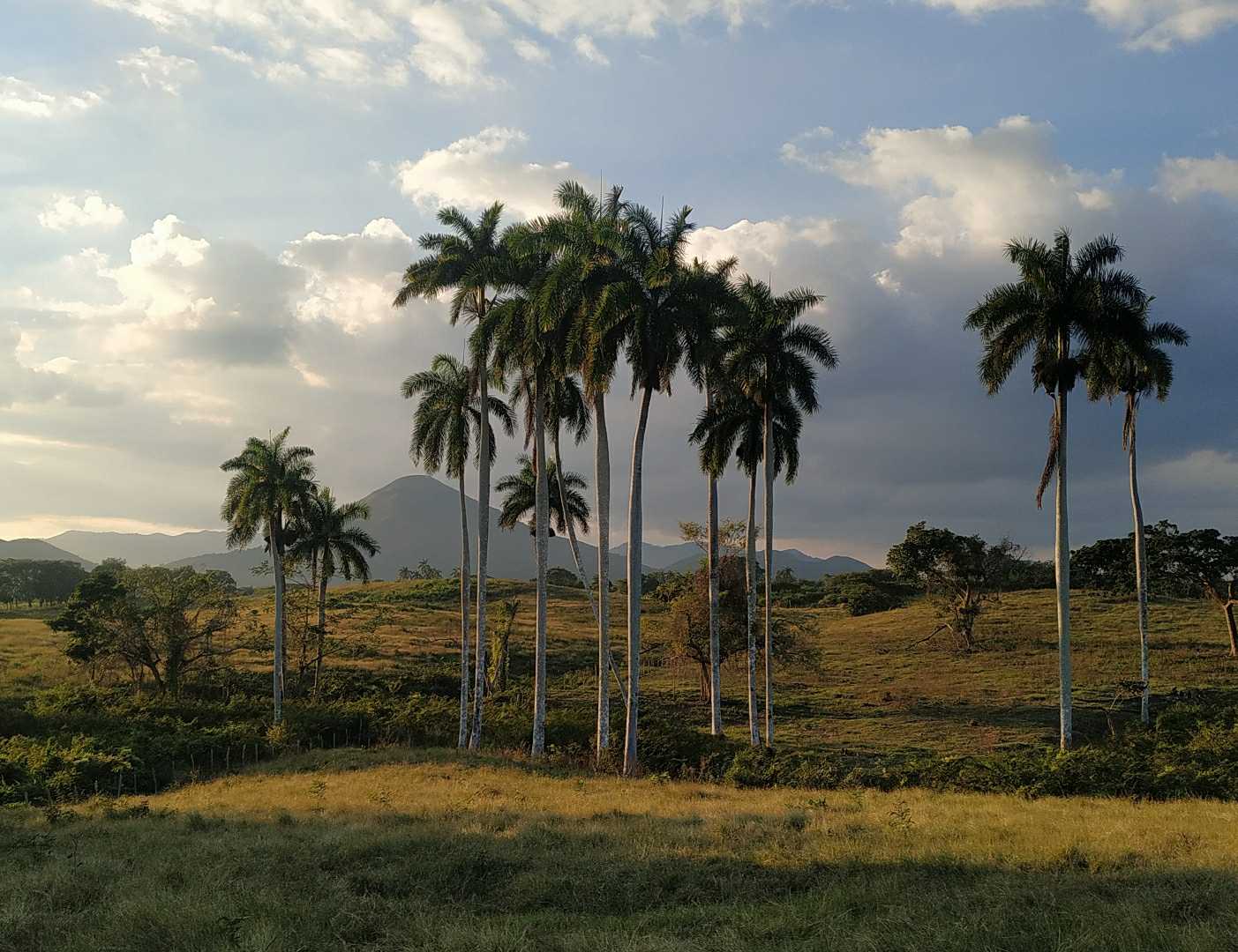 Atardece en los campos de Cuba