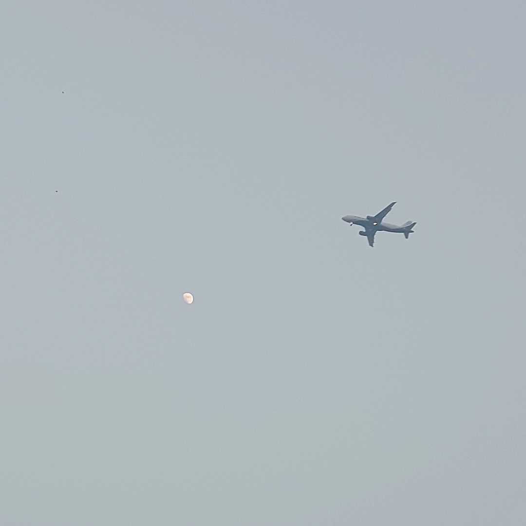 TO THE MOON 