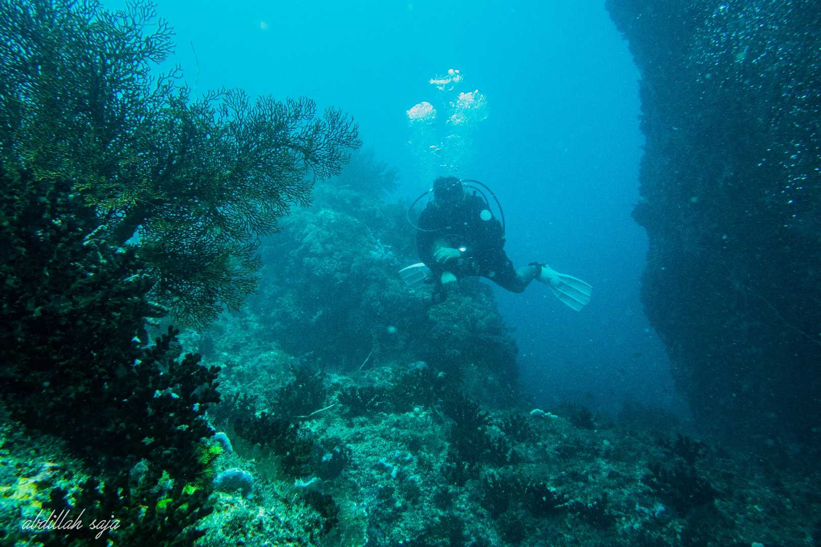 Tebing Tanjung Pamali