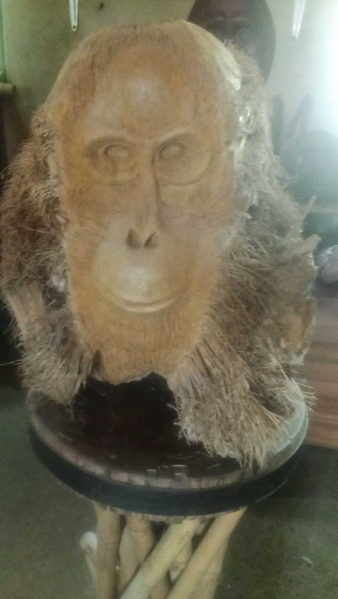 orangutan bamboo root statue