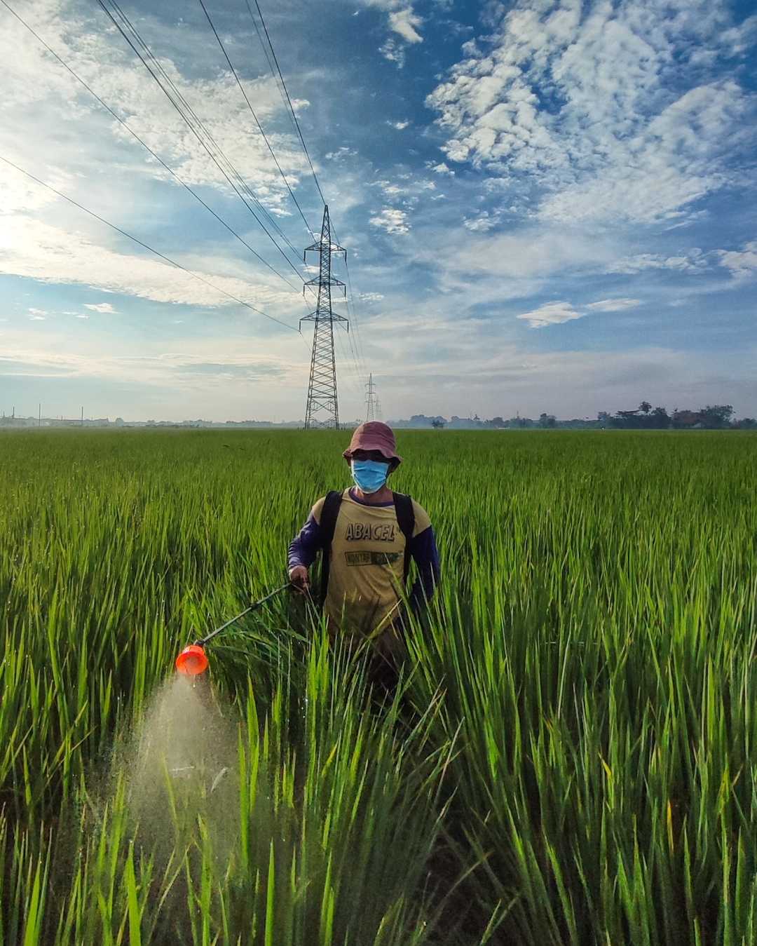 A Farmer spraying pesticides
