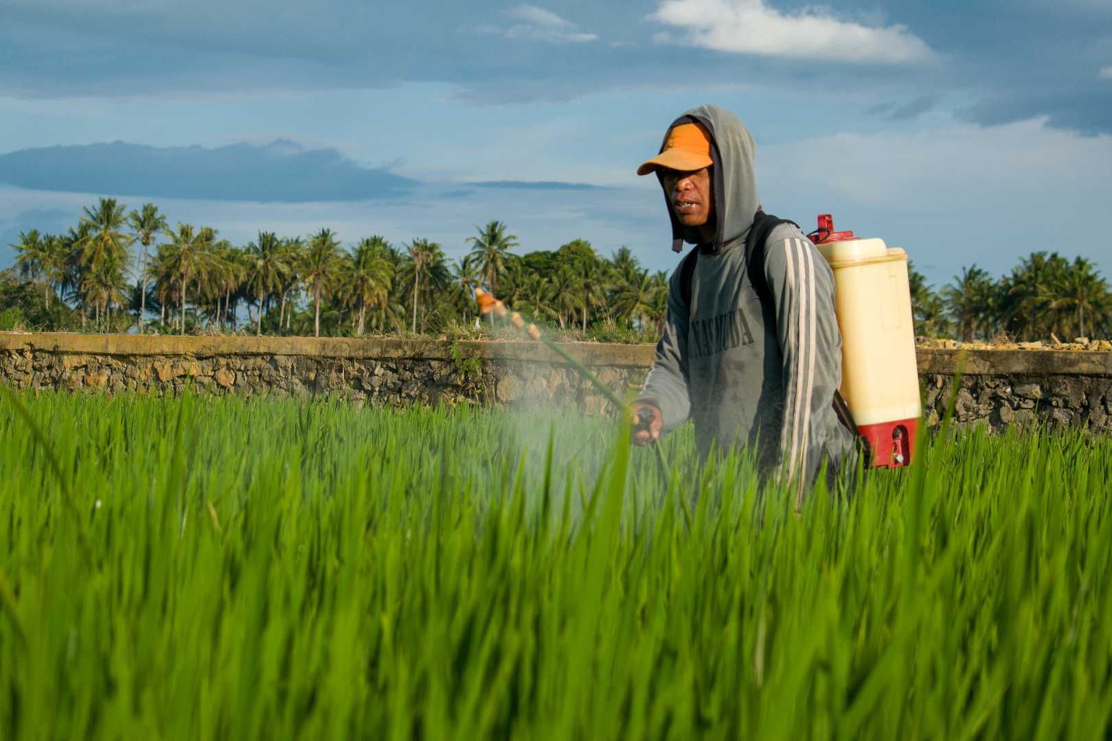 Farmerman