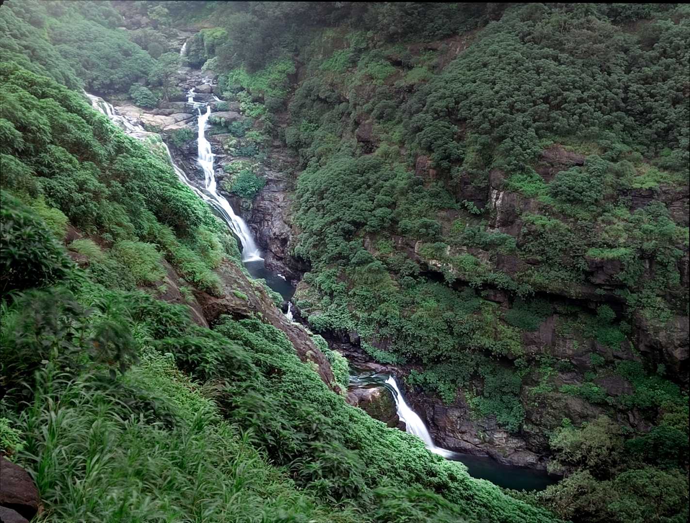 Find "FLOWS" in Nature rather than "FLAWS"