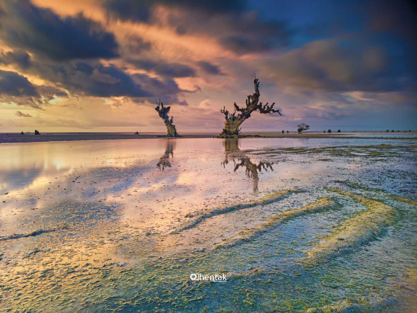 Landscape membawa ku ke Pindle