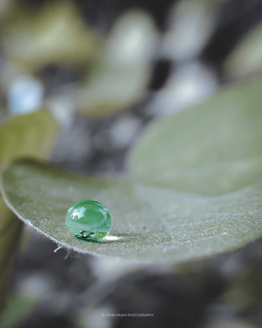 water droplets 