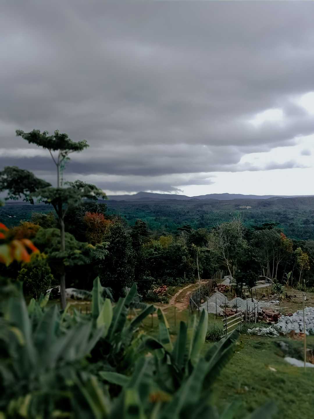 jalan jalan