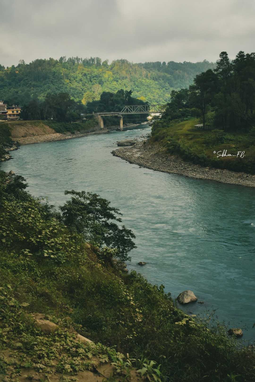 “A walk in nature walks the soul back home.” 💚💙