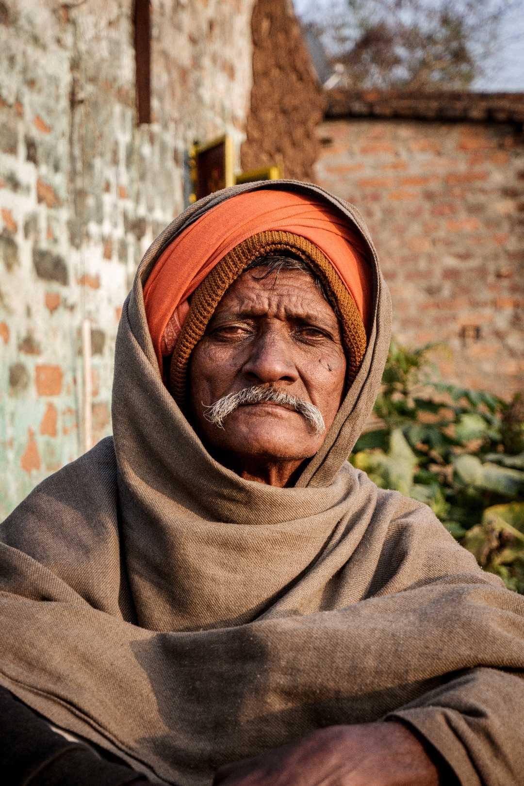 An Old Man Portrait 