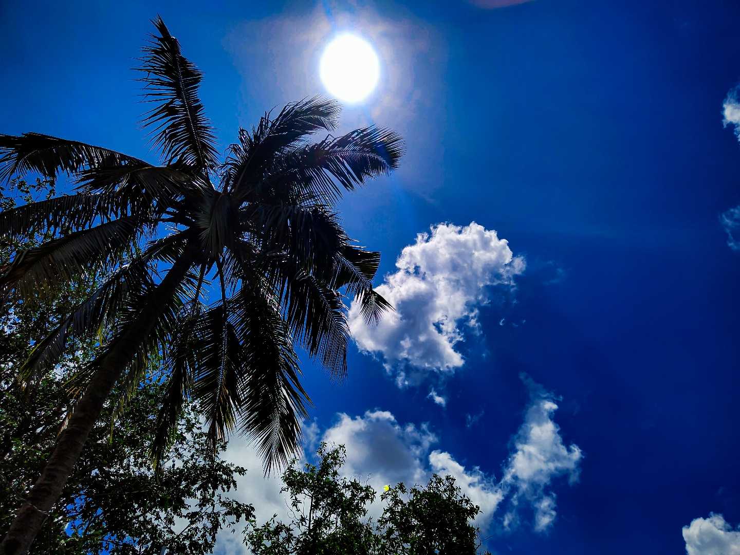 sky || 💙