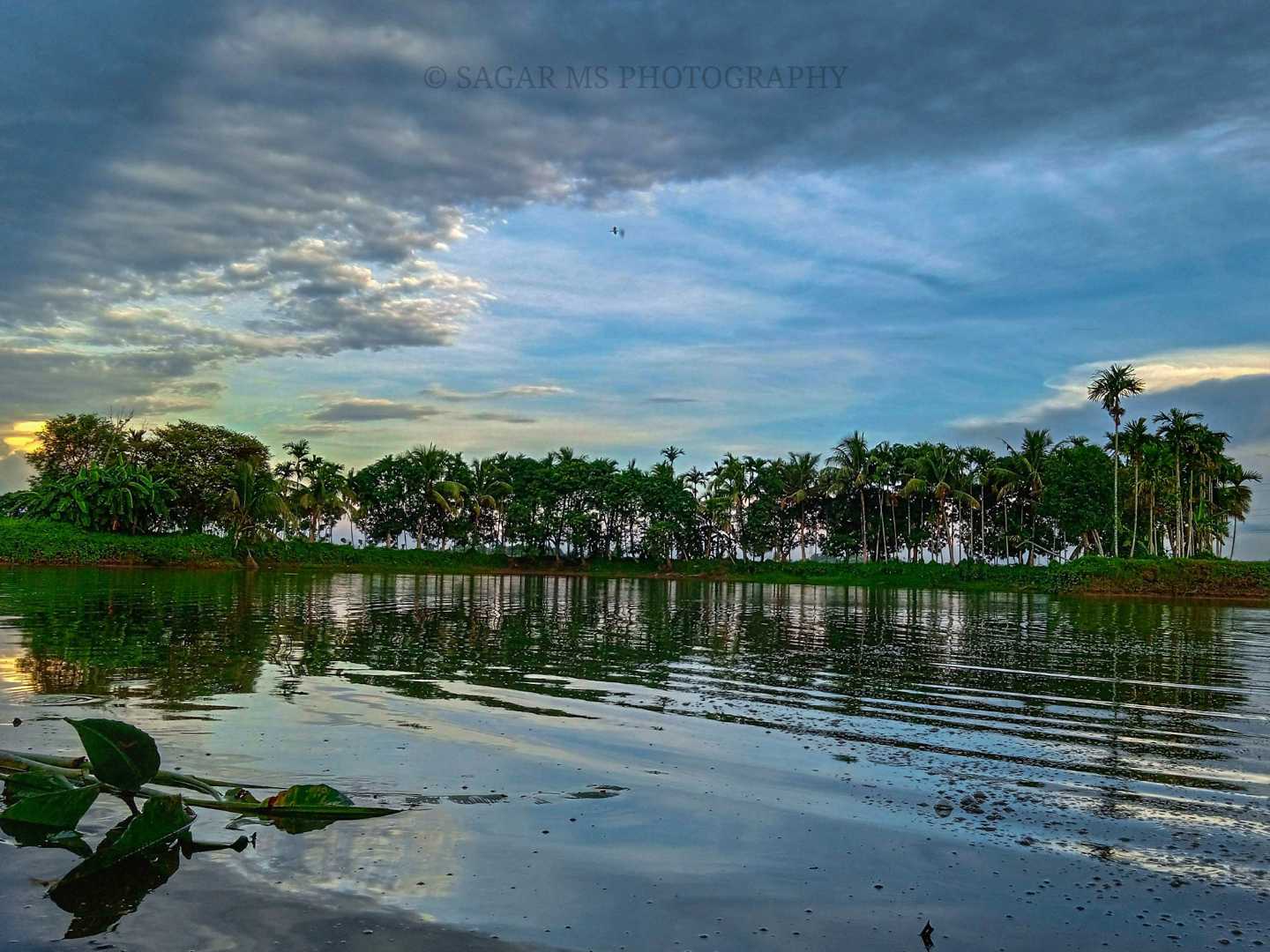 Landscape 