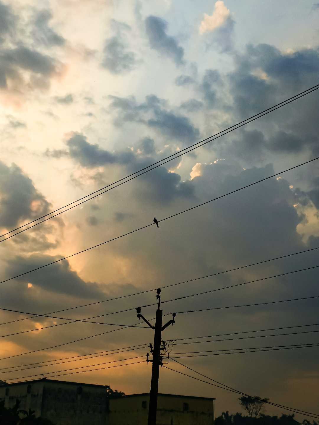 Alone & Happy 