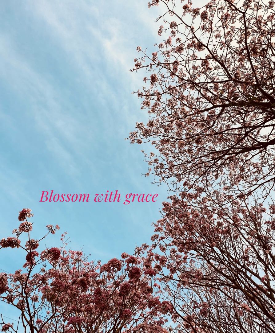 Blossom