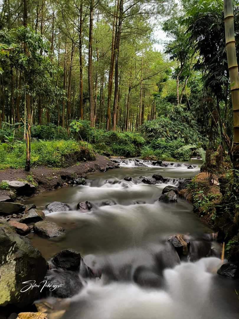 Kali Pinusan Poncosumo