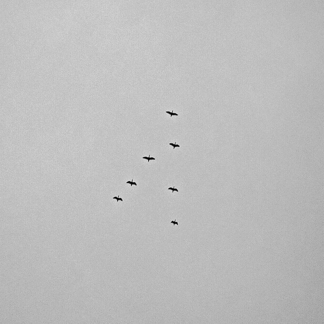 Minimalism✨