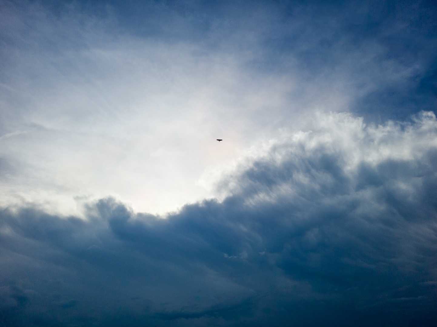 Fly High #ShareWithPindle