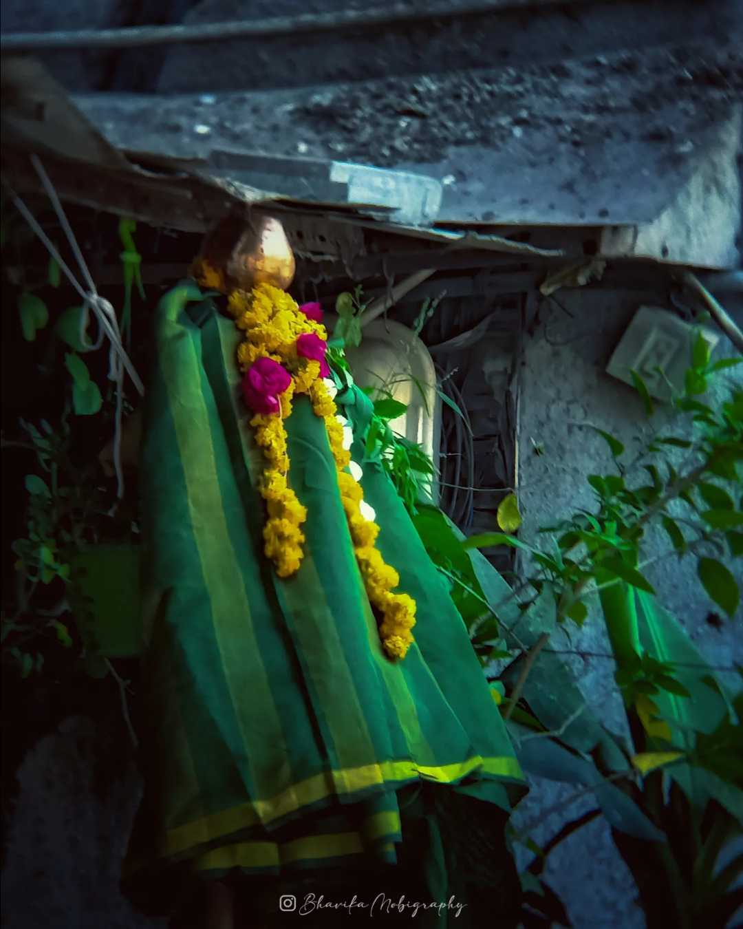🏵️