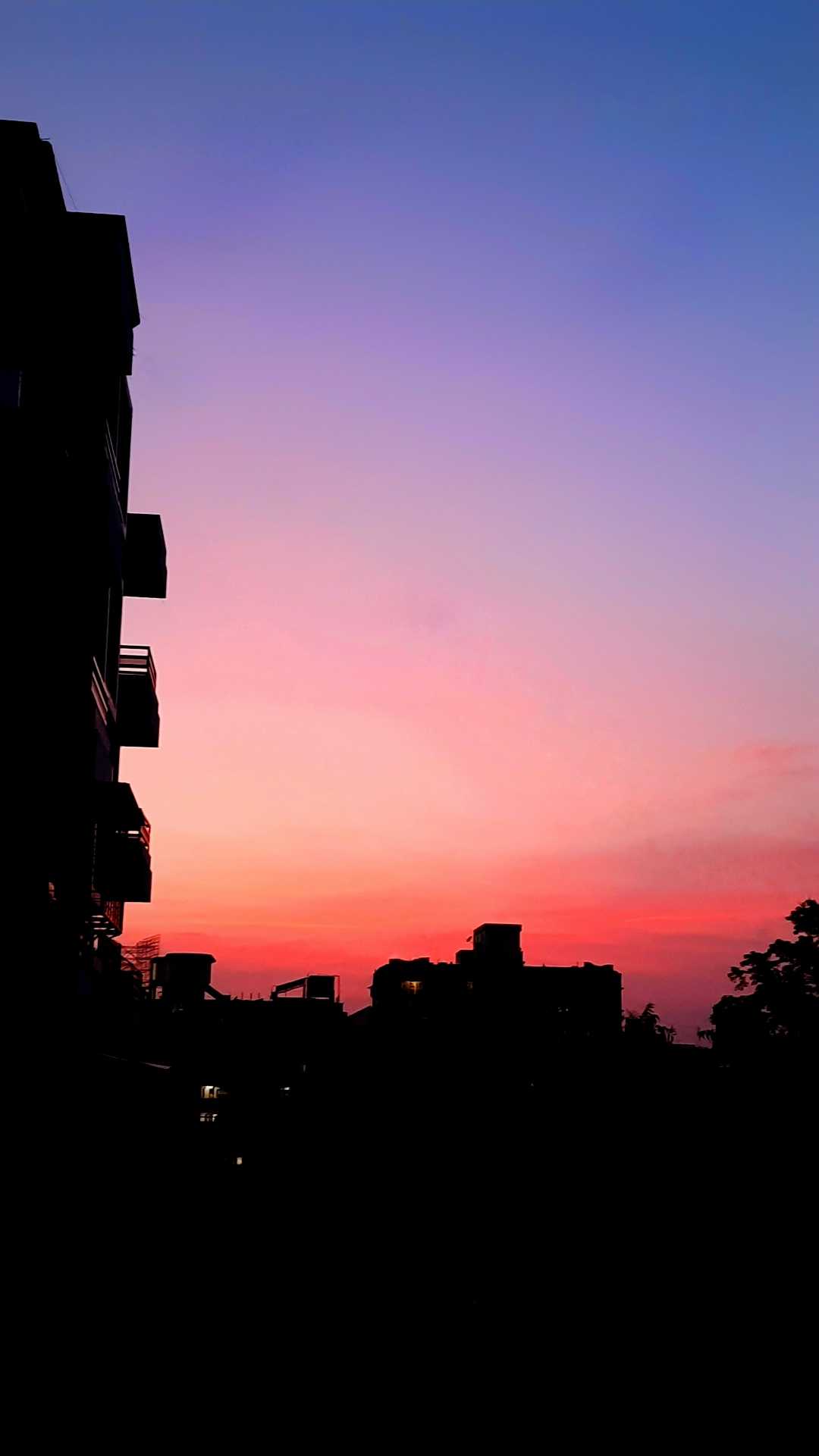 Pink vibes 