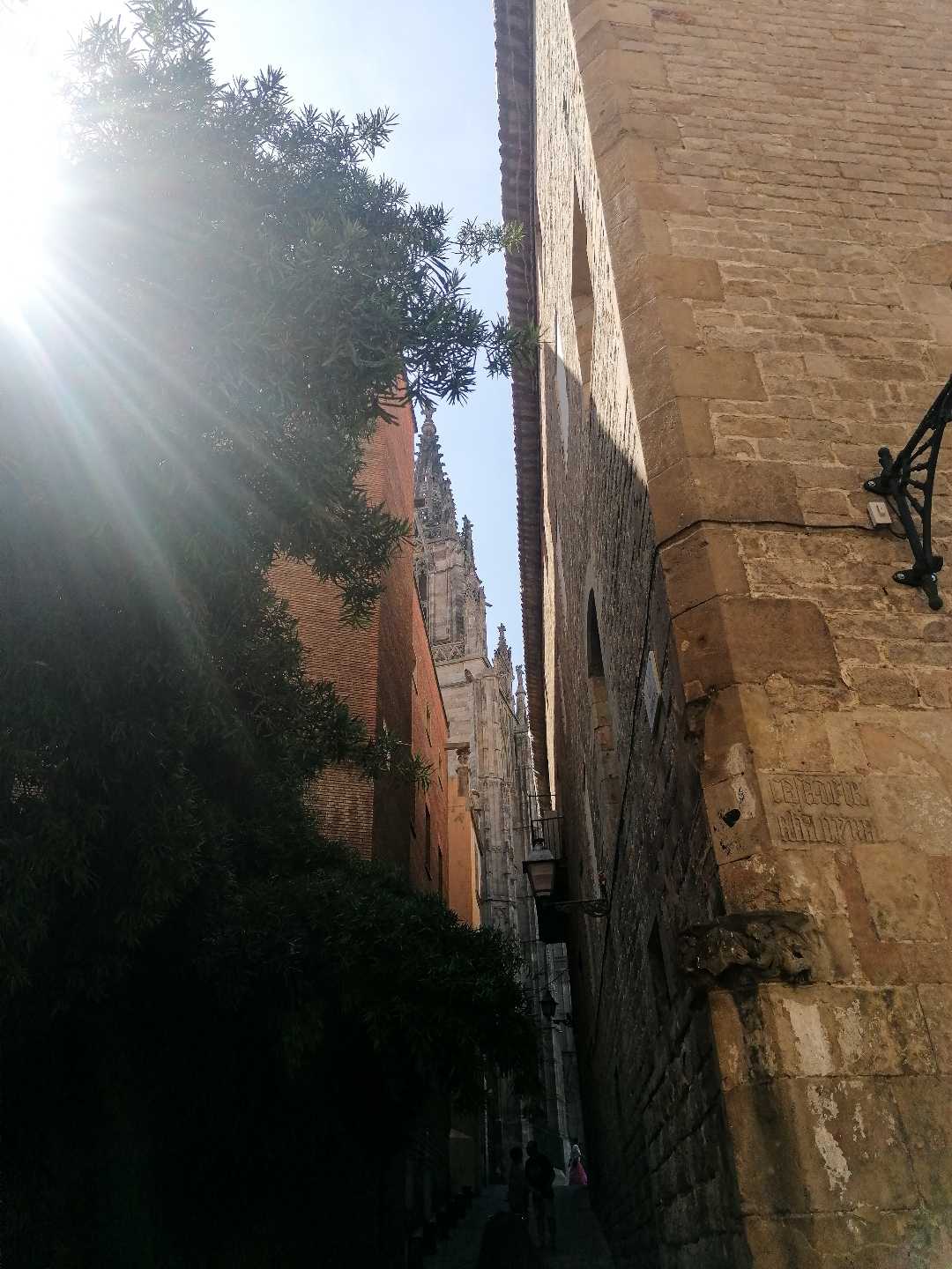 Catedral de Barcelona 