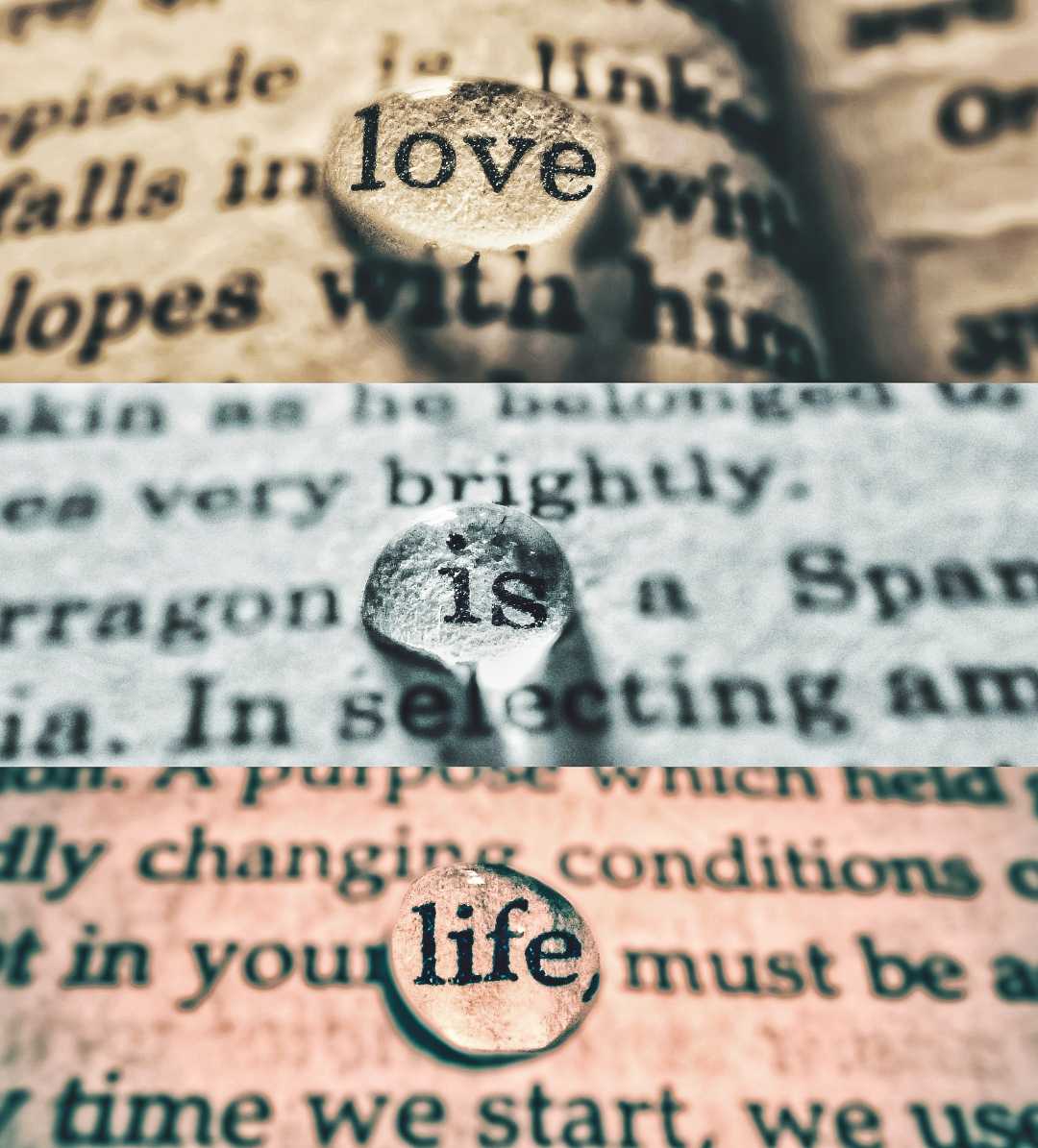 Love is life 