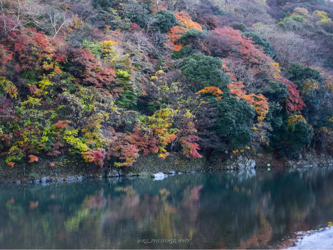 Autumn in Arashiyama