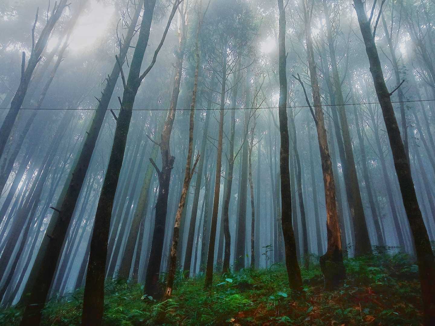 Beautiful Nature ❤️