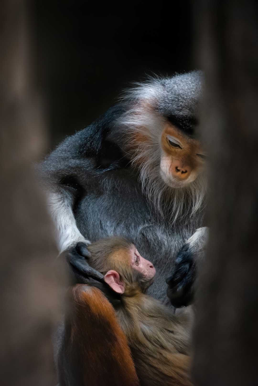 Mother taking care of her baby ❣️