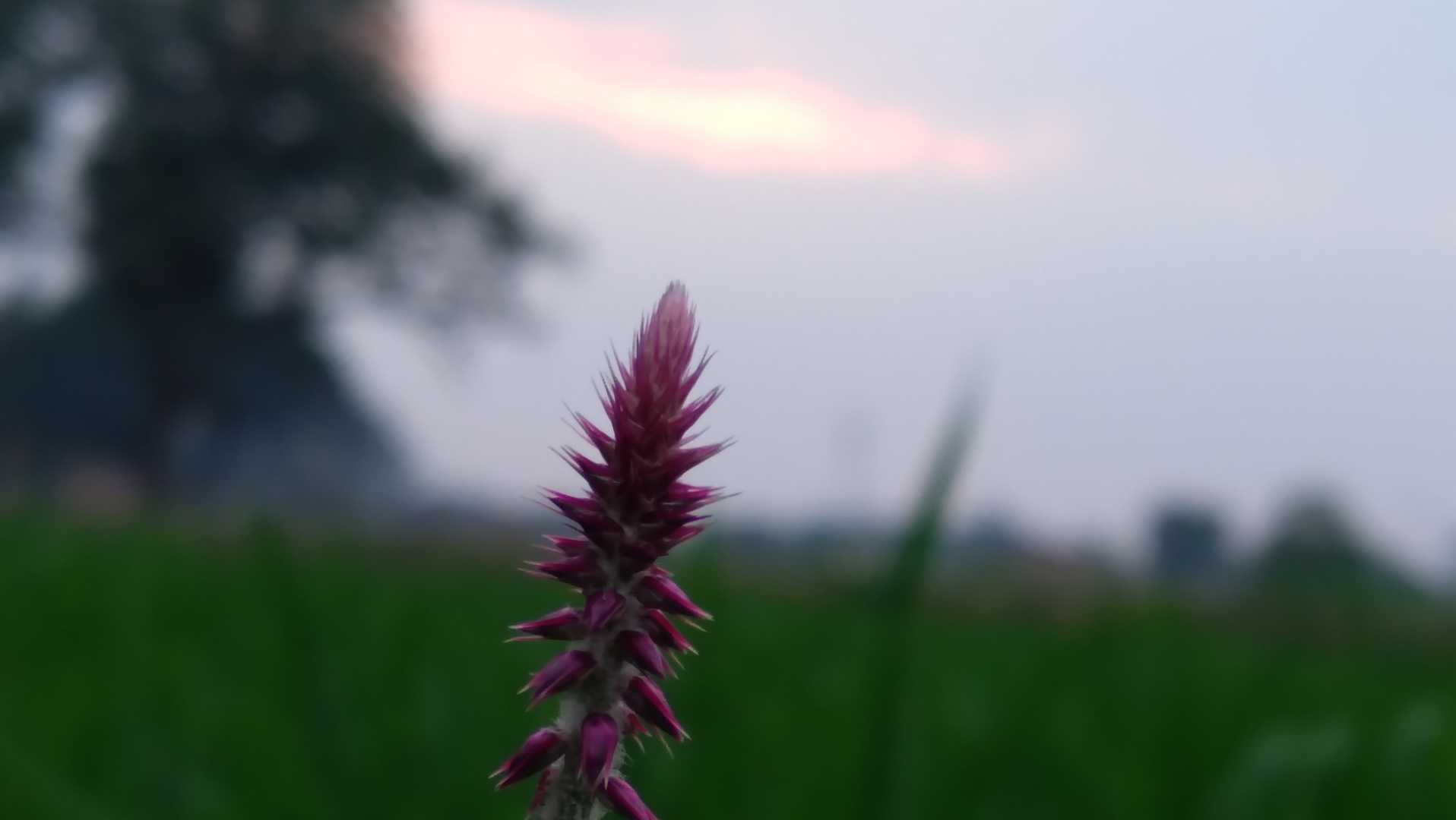 sunset capture 😍 ❤ 