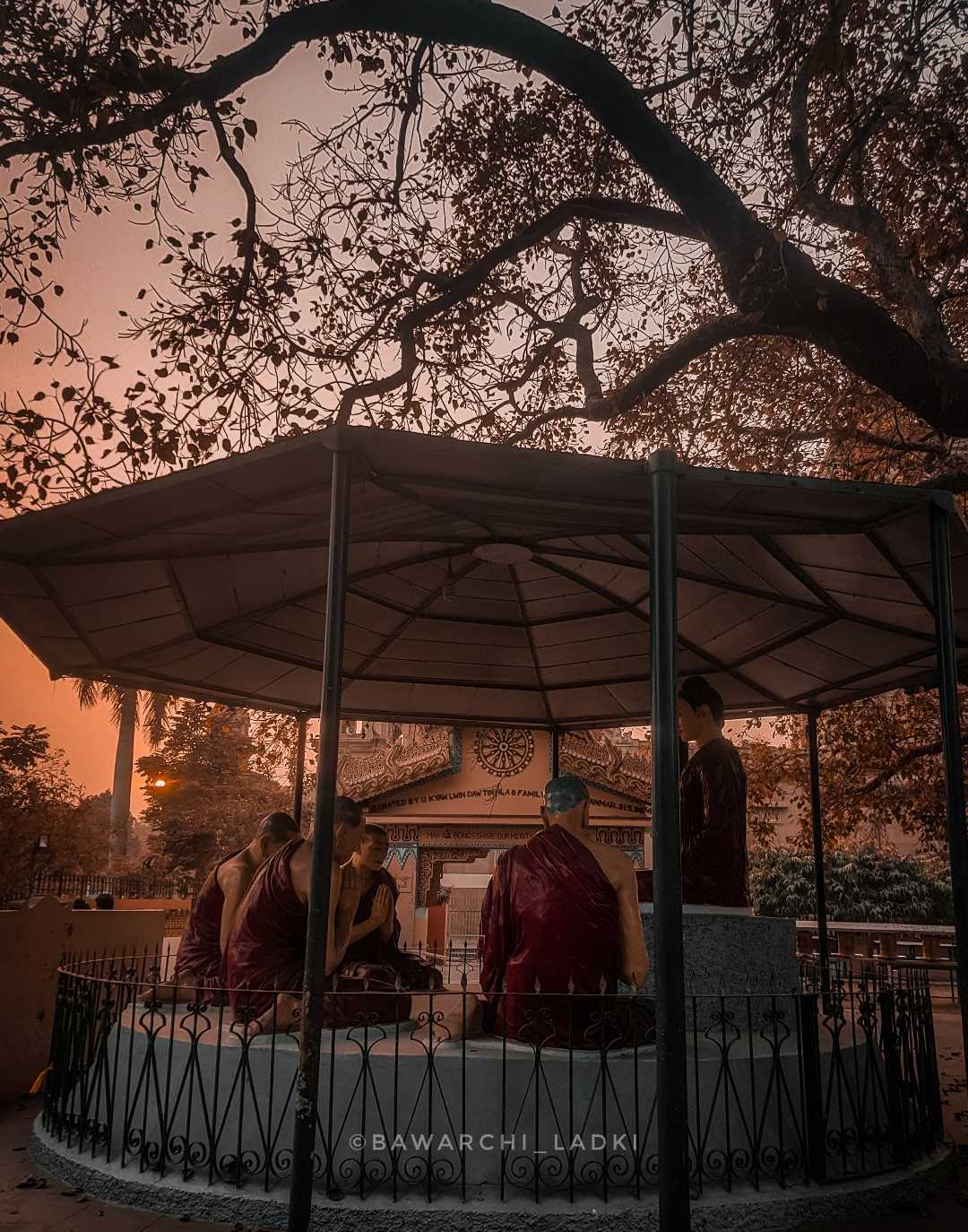 Bodhi Tree at Sarnath 