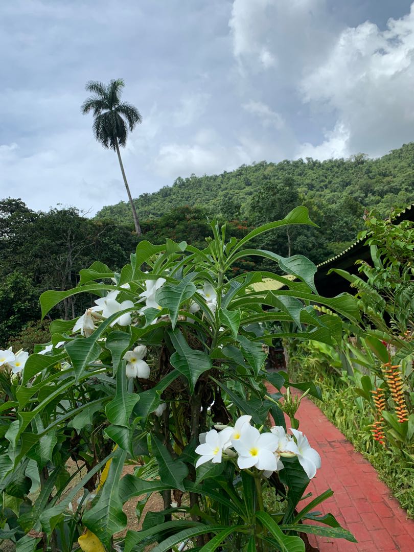📍Reserva Ecológica Lomas de Banao 