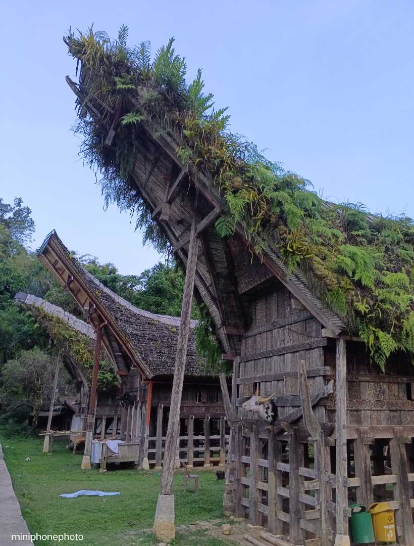 Rumah Adat Toraja