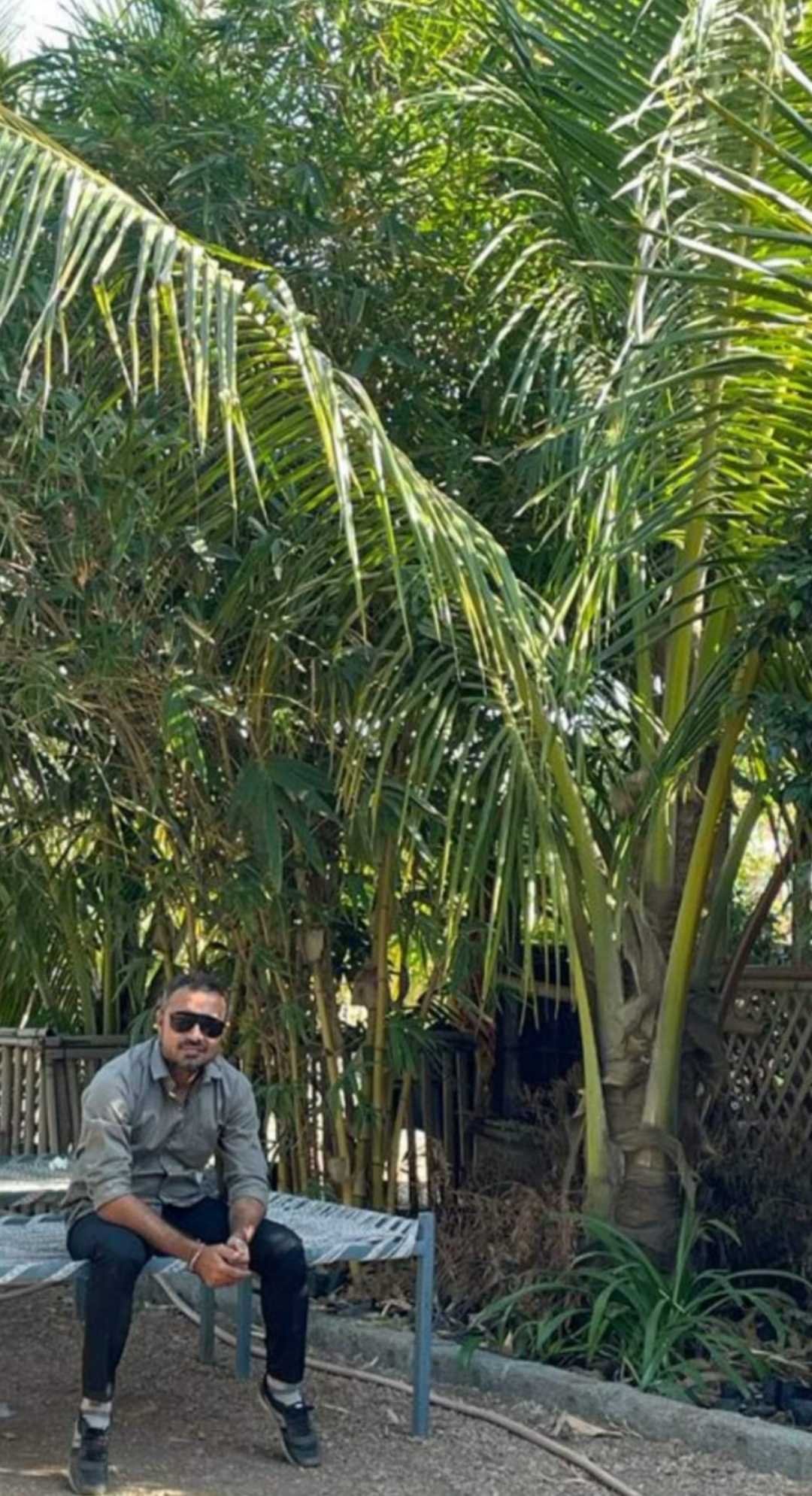 to the nature 🌳🌴🌿🍀☘🌱