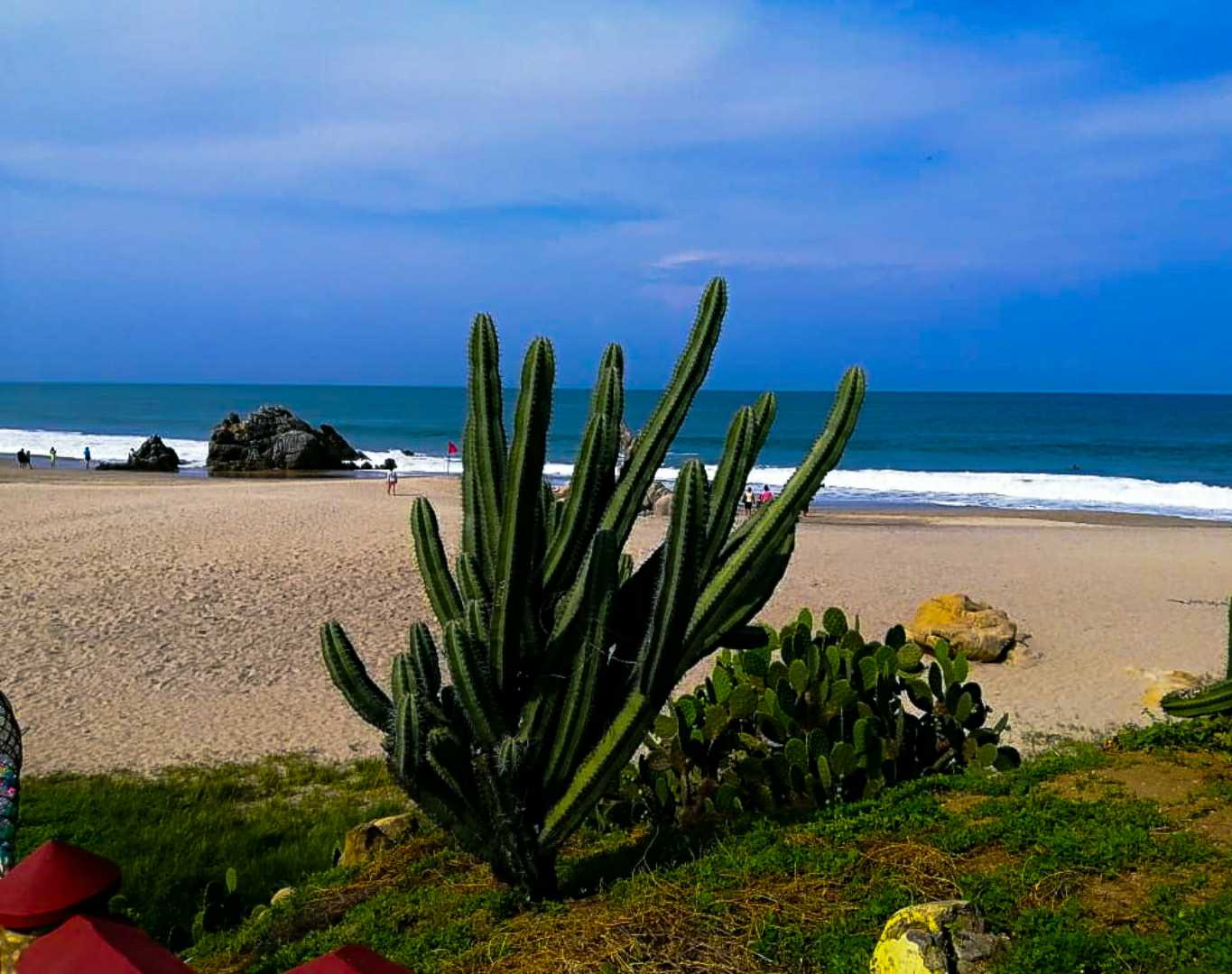 playa de zicatela 