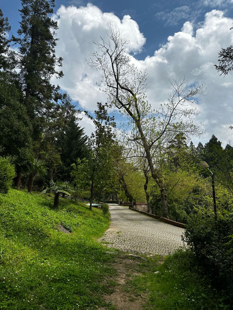 Yalova Termal Orman / Yalova Thermal Forest