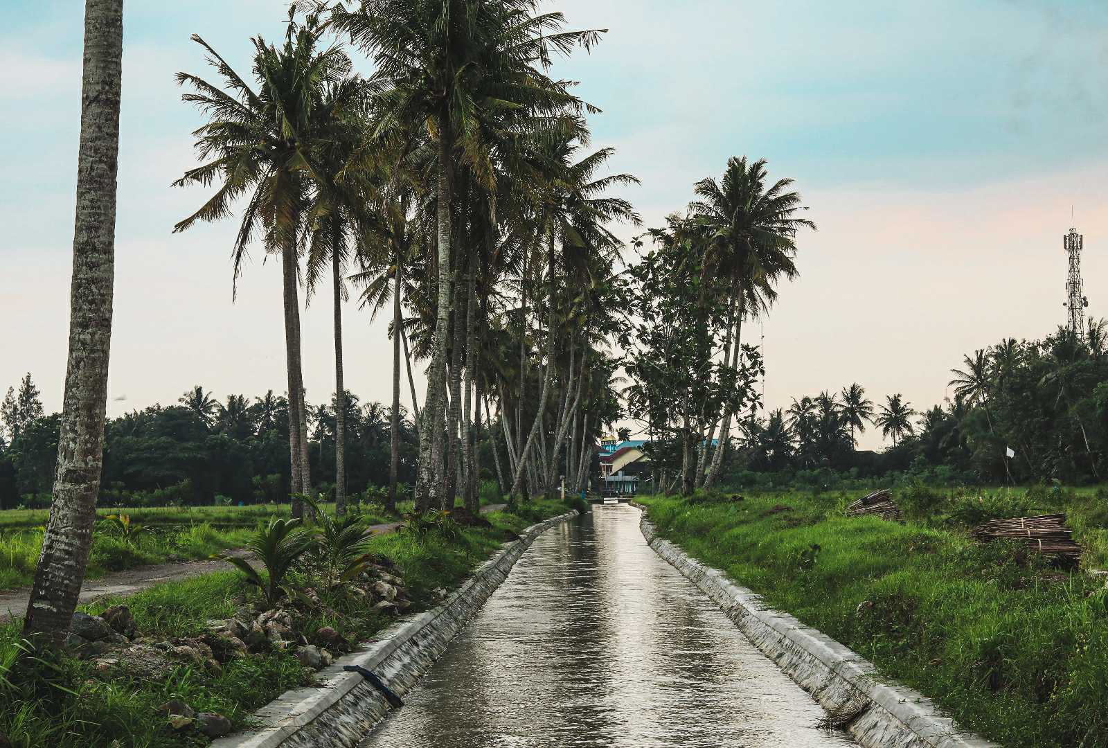 Desa Moyudan