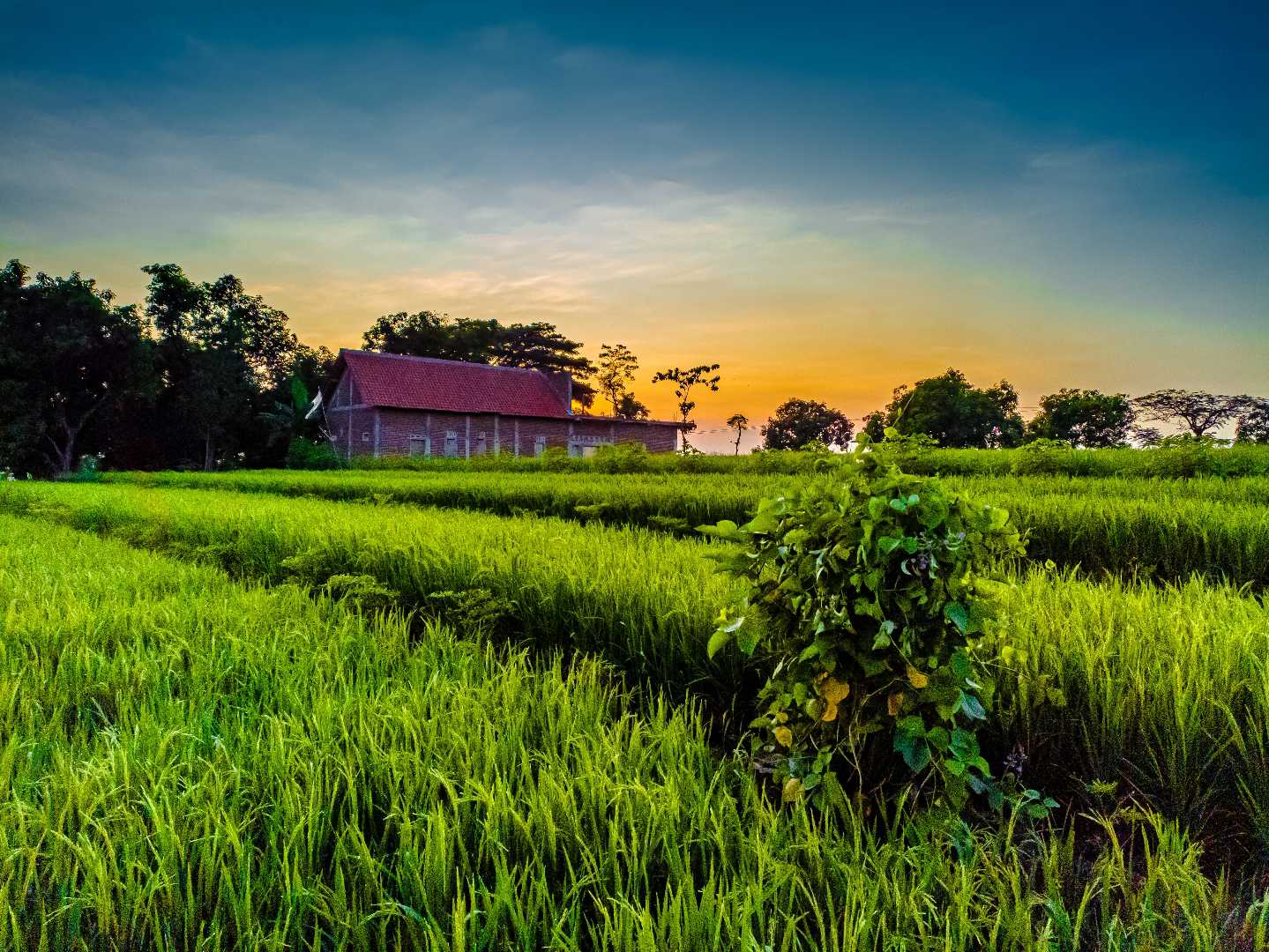 bersyukur