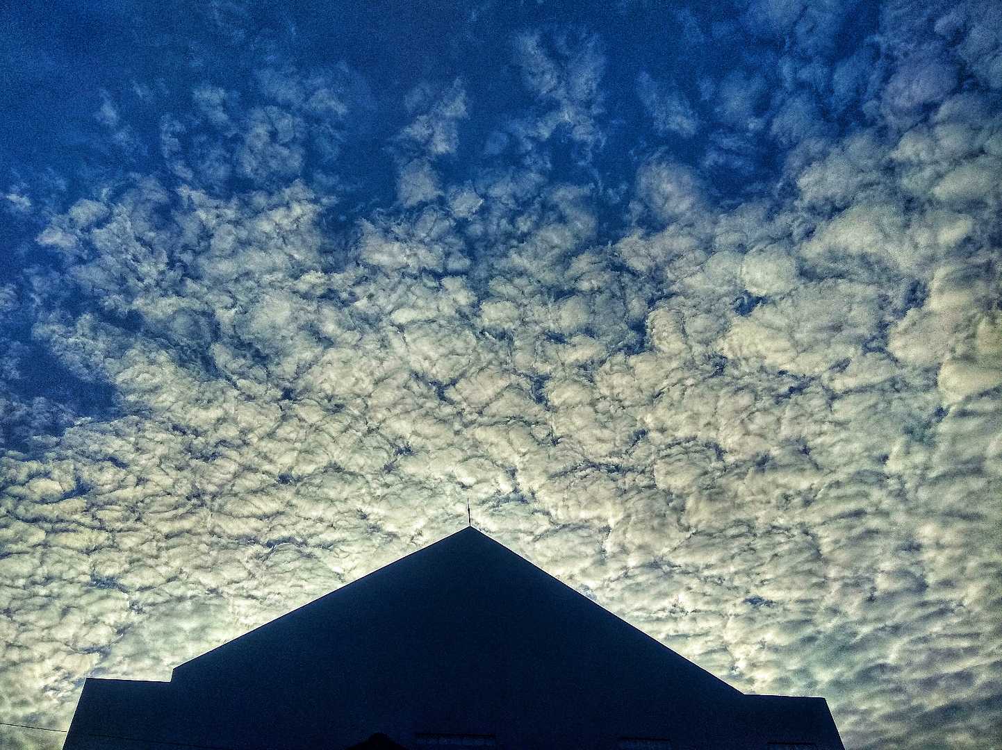 Altocumulus Clouds
