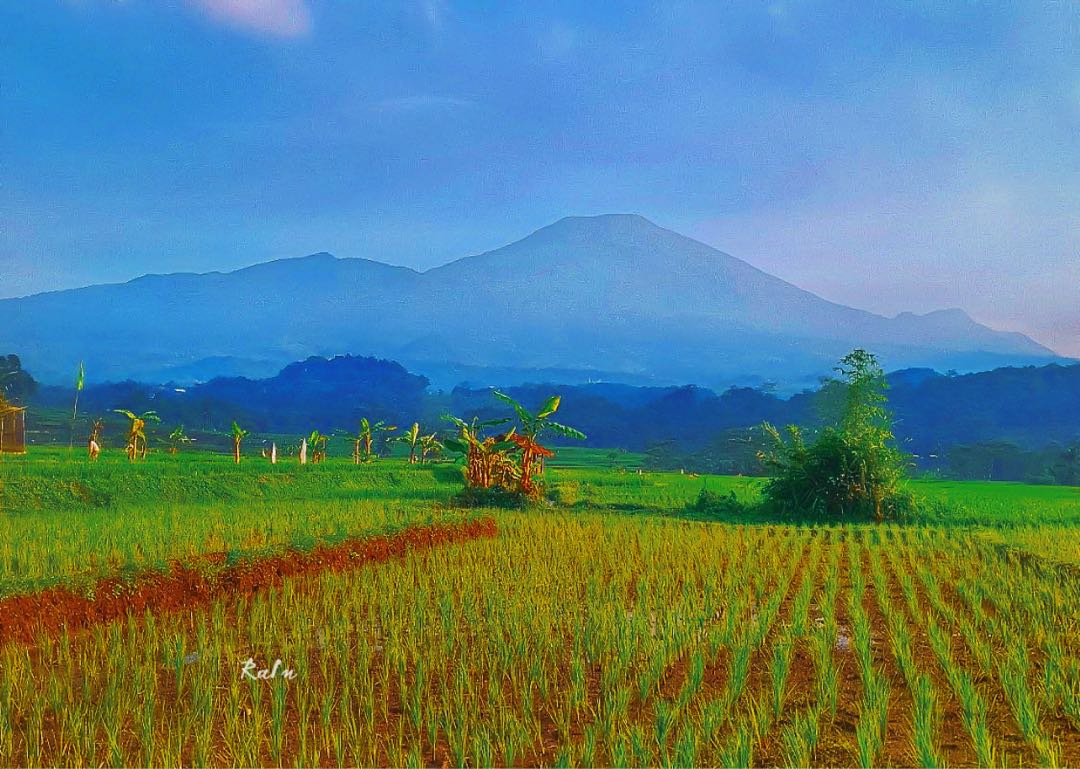 View Gunung Ciremai ,Kabupaten Majalengka