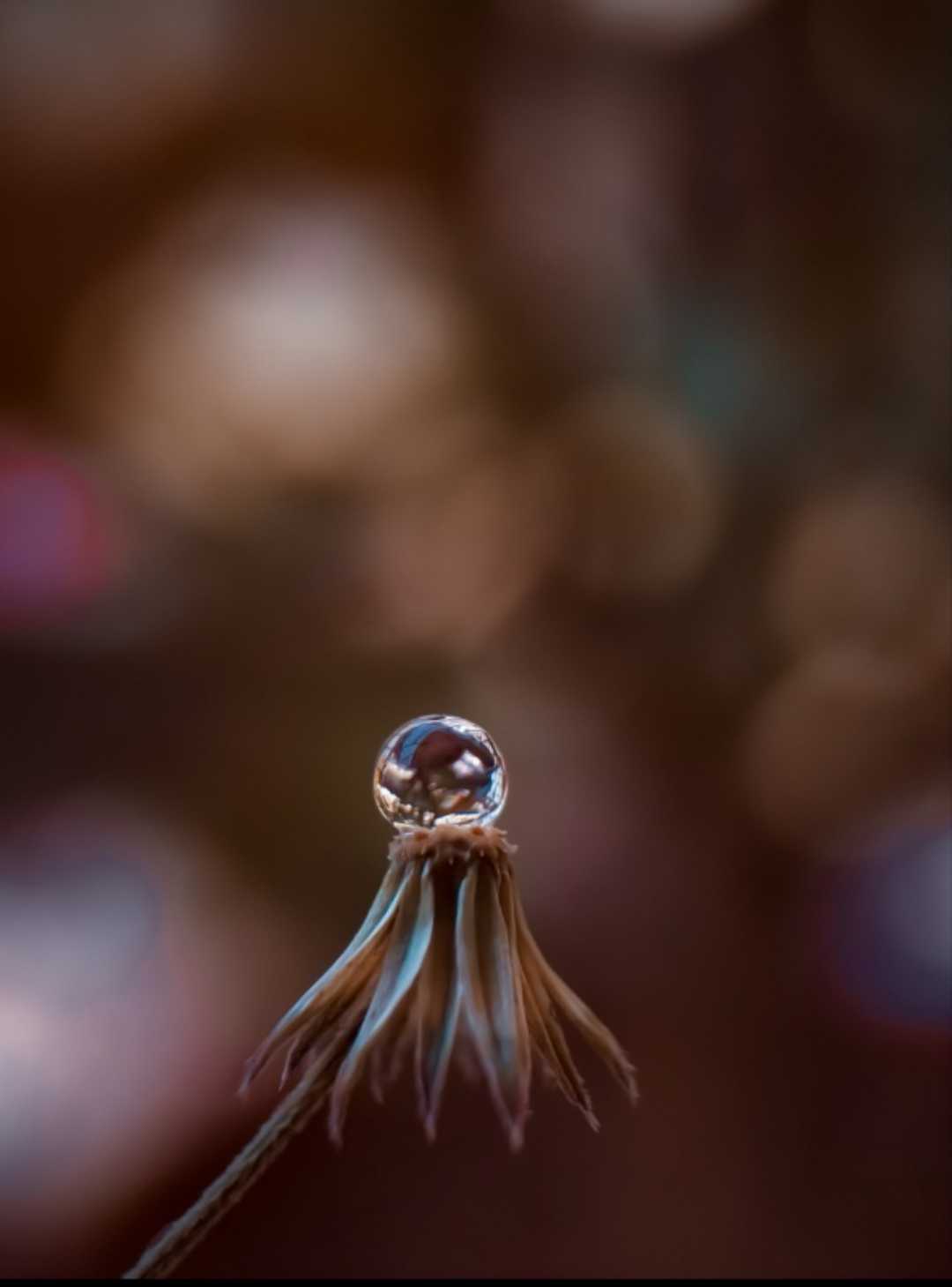water Droplet